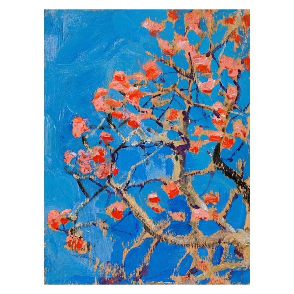 Florecer en Azul 1