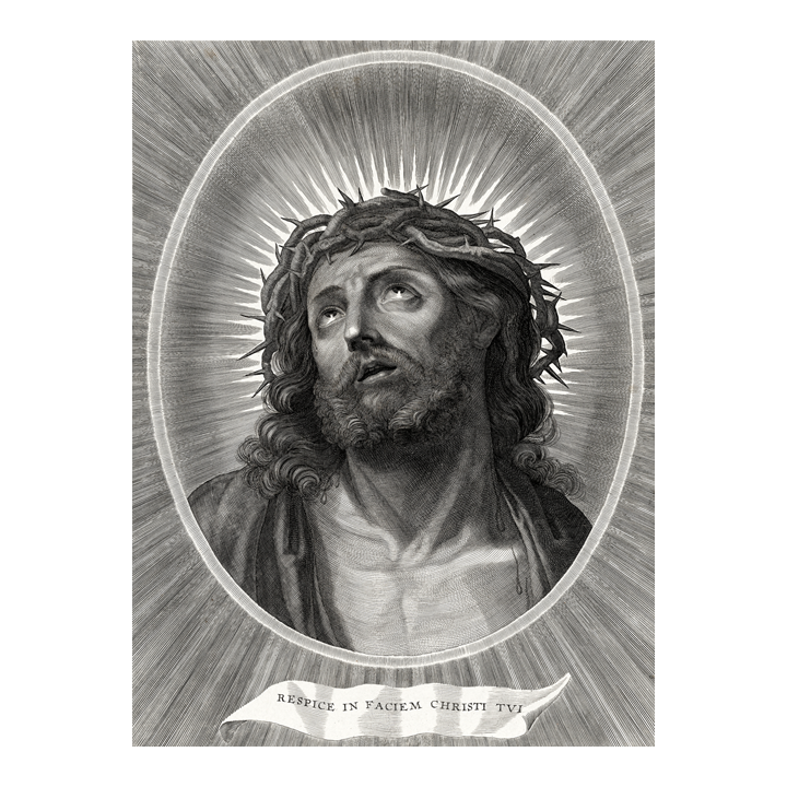 Rostro de Cristo con corona de espinas 1