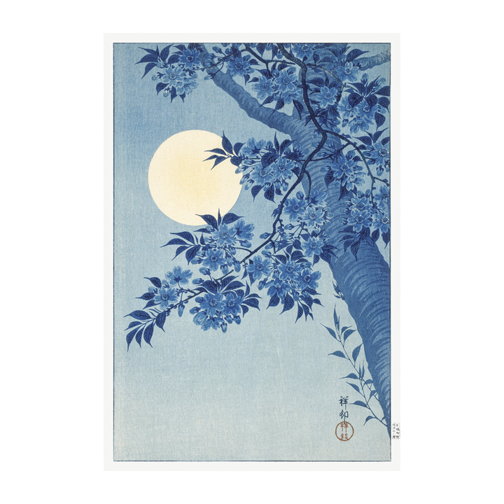 Cerezo en flor en una noche de luna 1