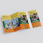 Brochure 3