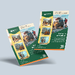 Flyers 1