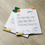 Letterhead 4