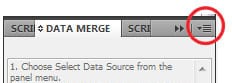 Adobe InDesign variable data merge panel previewing personalized database records