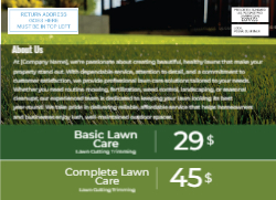 Lawn Luminescence