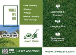 Lawn Luminescence
