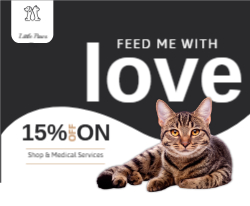 Pet Paper