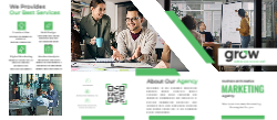 Business Brochure