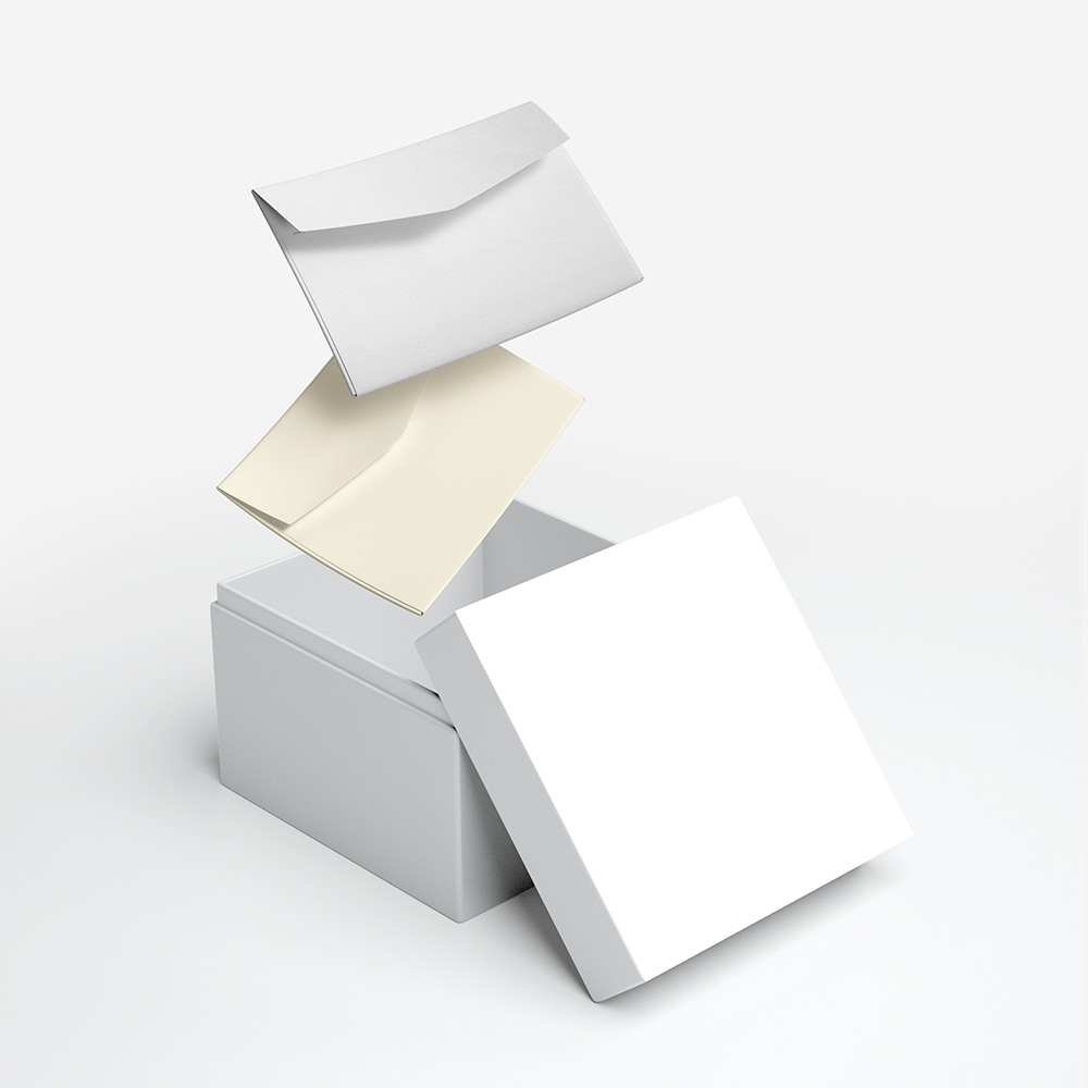 Box of Plain Envelopes