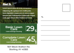 Lawn Luminescence Address Please