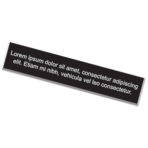 1" x 8" Nameplate https://d2tl9ctlpnidkn.cloudfront.net/owlstampo/images/product/2x10_Plate_Sm.png