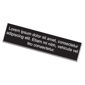 1" x 8" Nameplate https://d2tl9ctlpnidkn.cloudfront.net/owlstampo/images/product/2x8_Plate_Sm.png