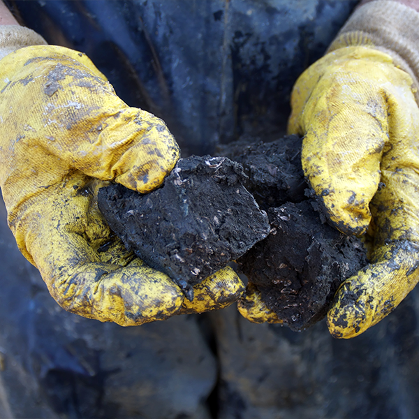 Delaware (DE) Geologist