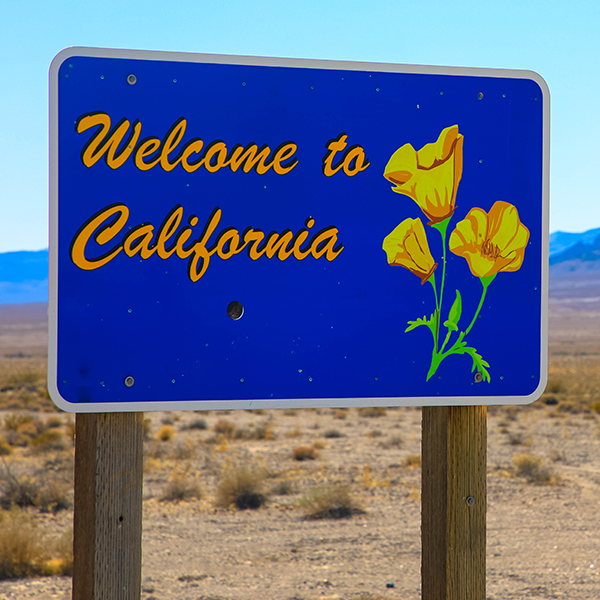 California (CA) Professional Discipline Items