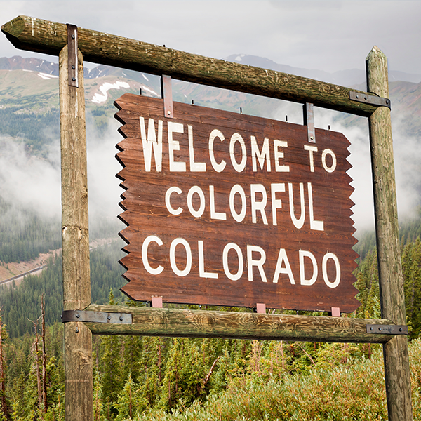 Colorado (CO) Professional Discipline Items