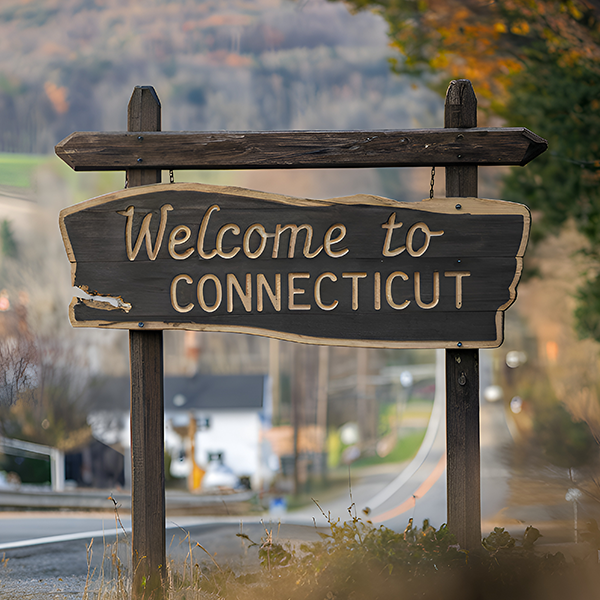 Connecticut (CT) Professional Discipline Items