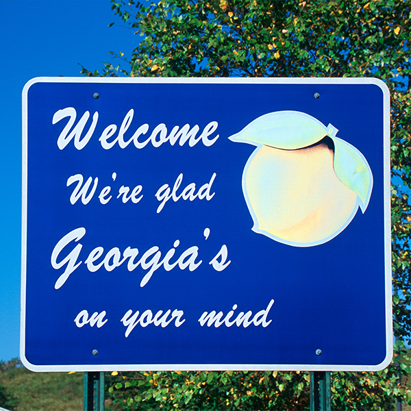 Georgia (GA) Professional Discipline Items