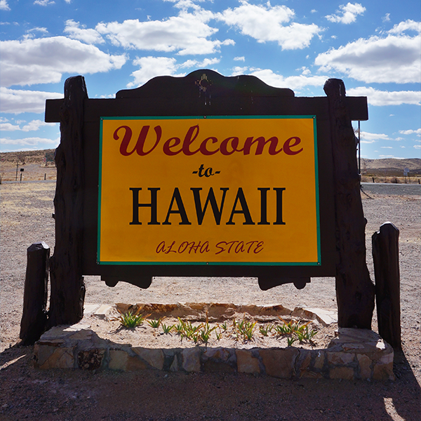 Hawaii (HI) Professional Discipline Items