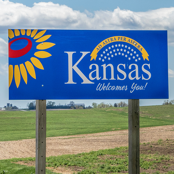 Kansas (KS) Professional Discipline Items