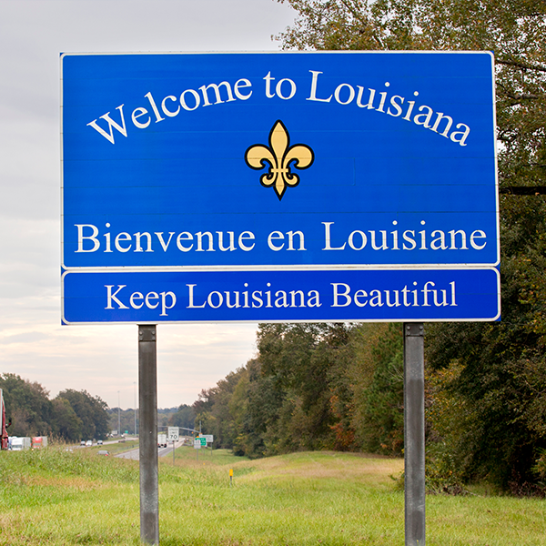 Louisiana (LA) Professional Discipline Items