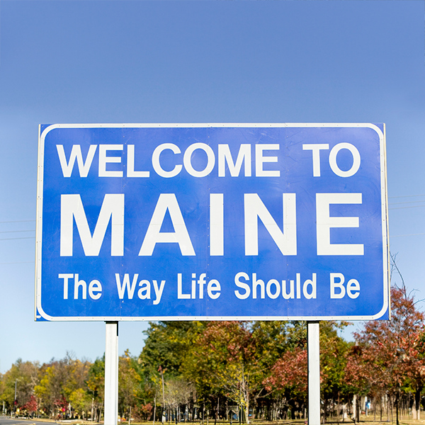 Maine (ME) Professional Discipline Items