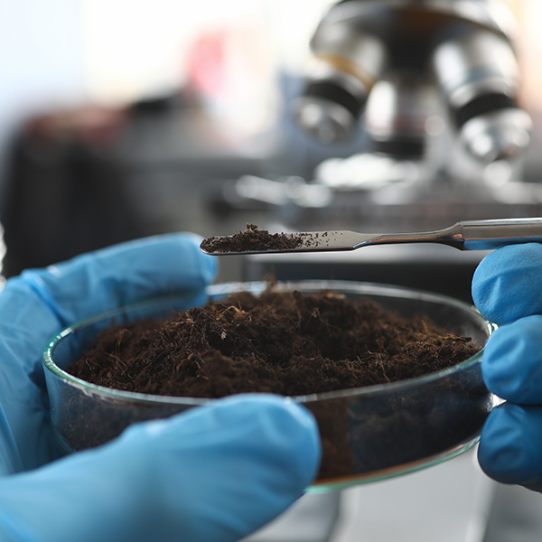 New Hampshire (NH) Soil Scientist