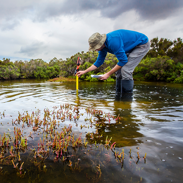 New Hampshire (NH) Wetland Scientist