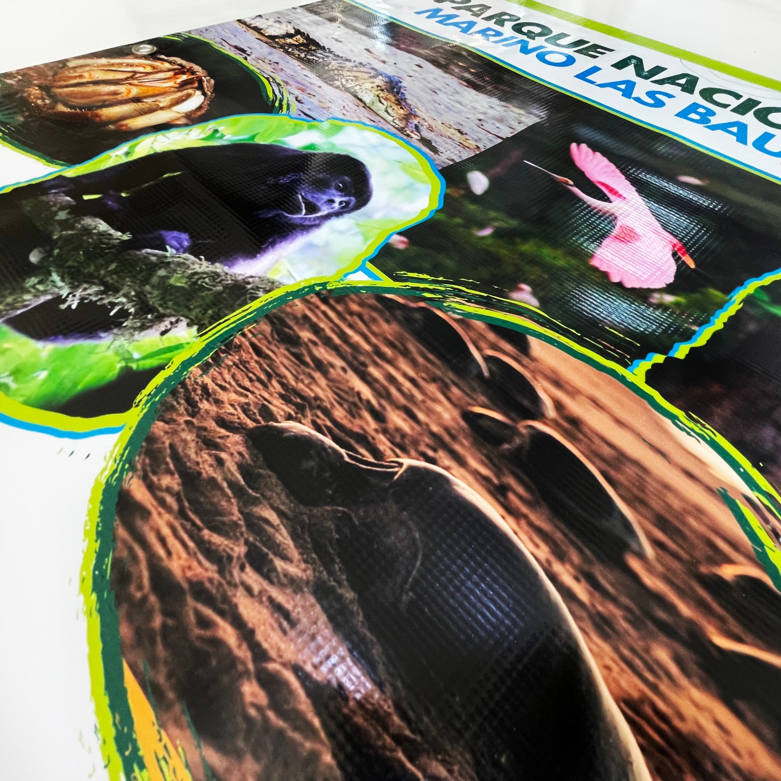 Banners (Custom Size) 6