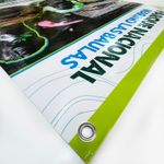 Banners (Custom Size) 5