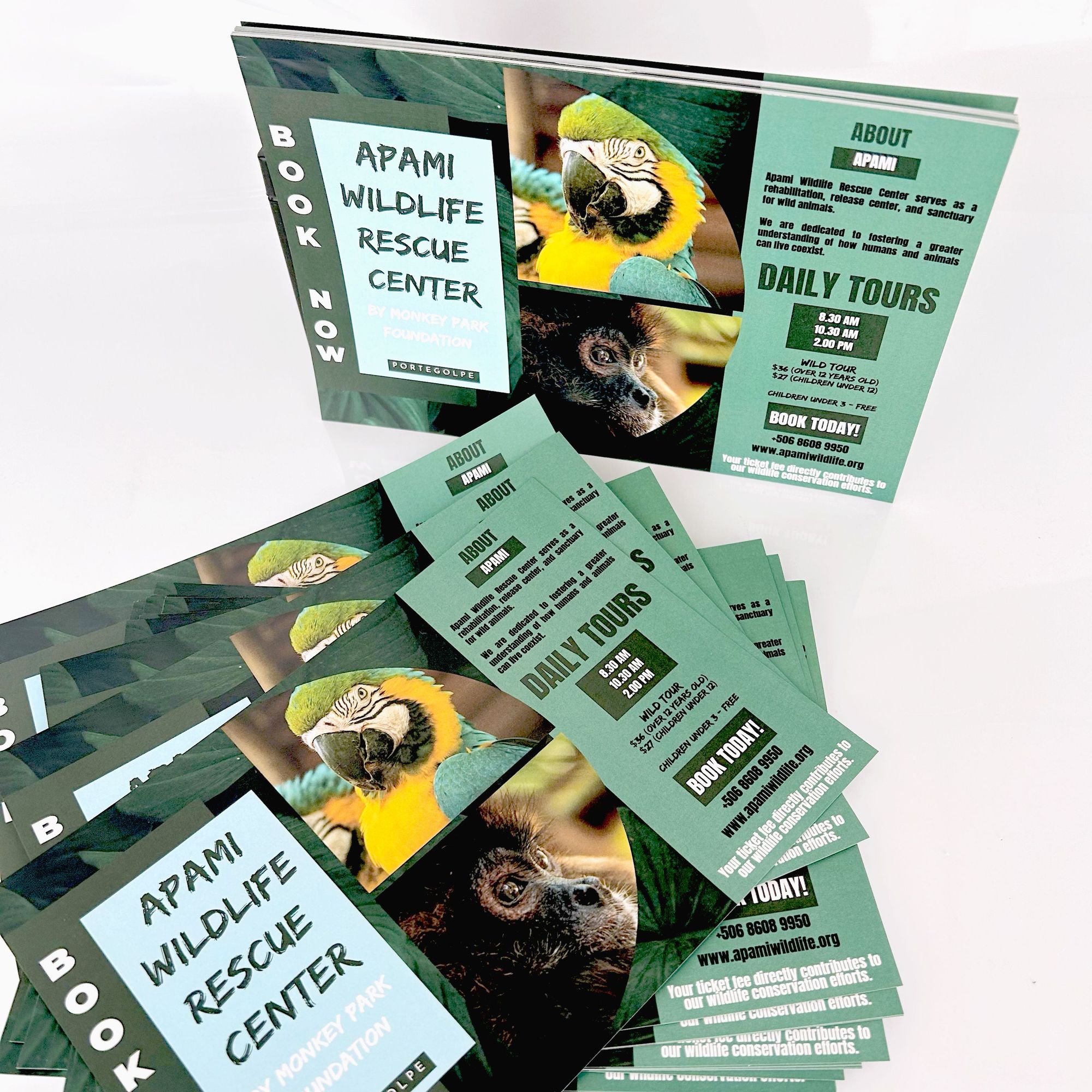 Flyers 1