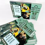 Flyers 1