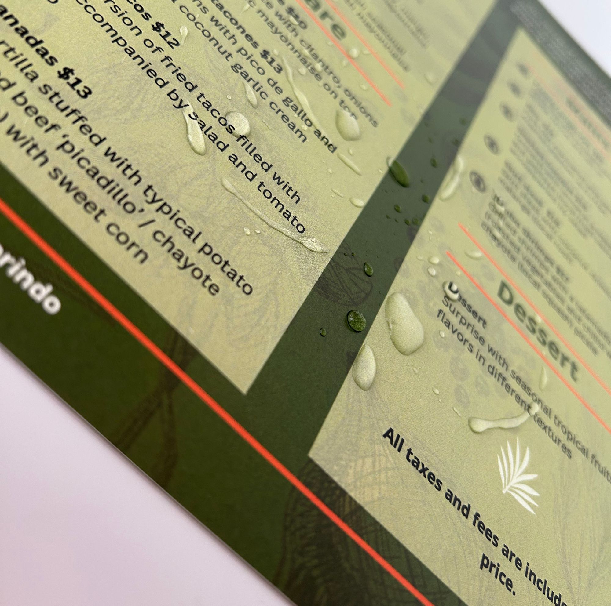 Synthetic Paper Menu 3