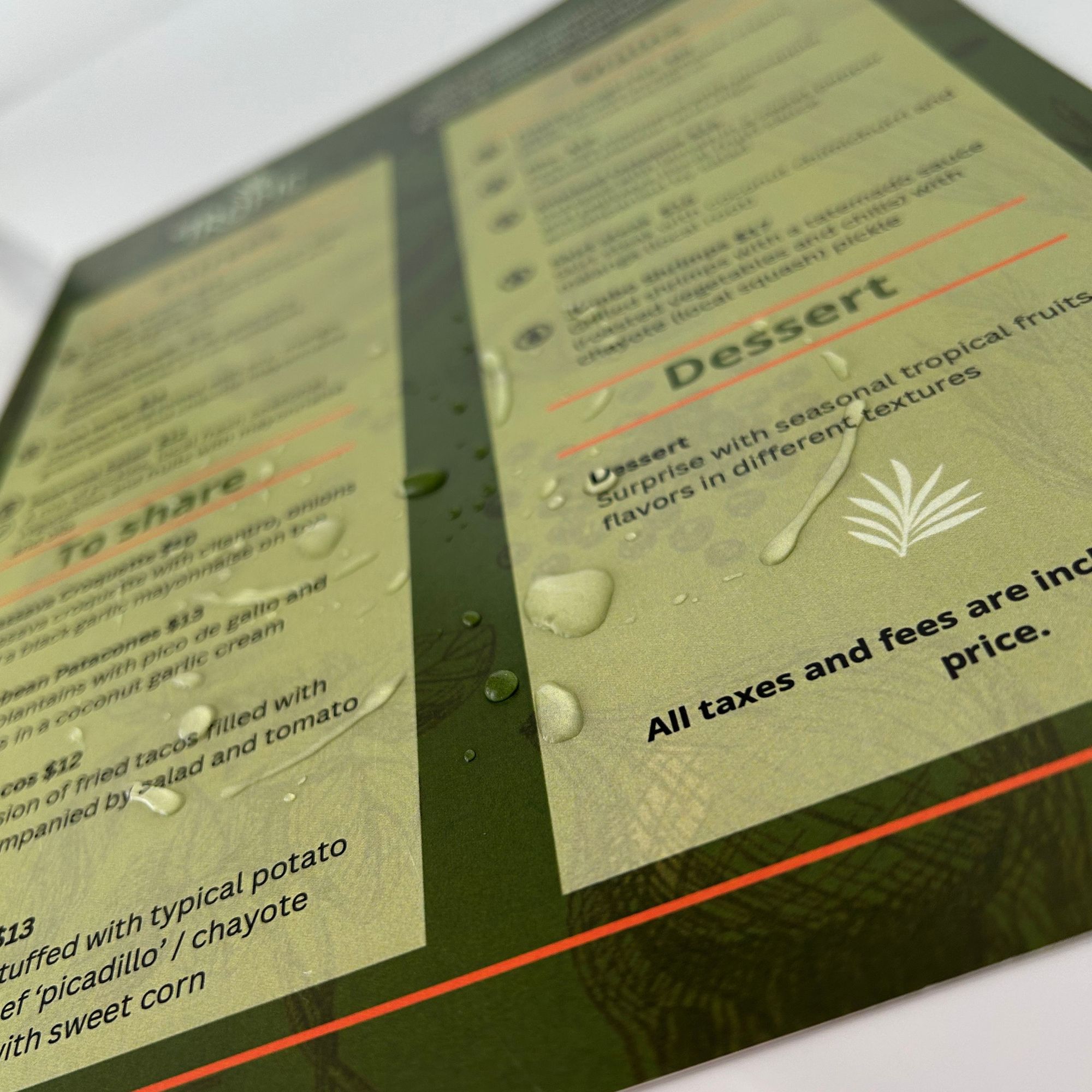 Synthetic Paper Menu 1
