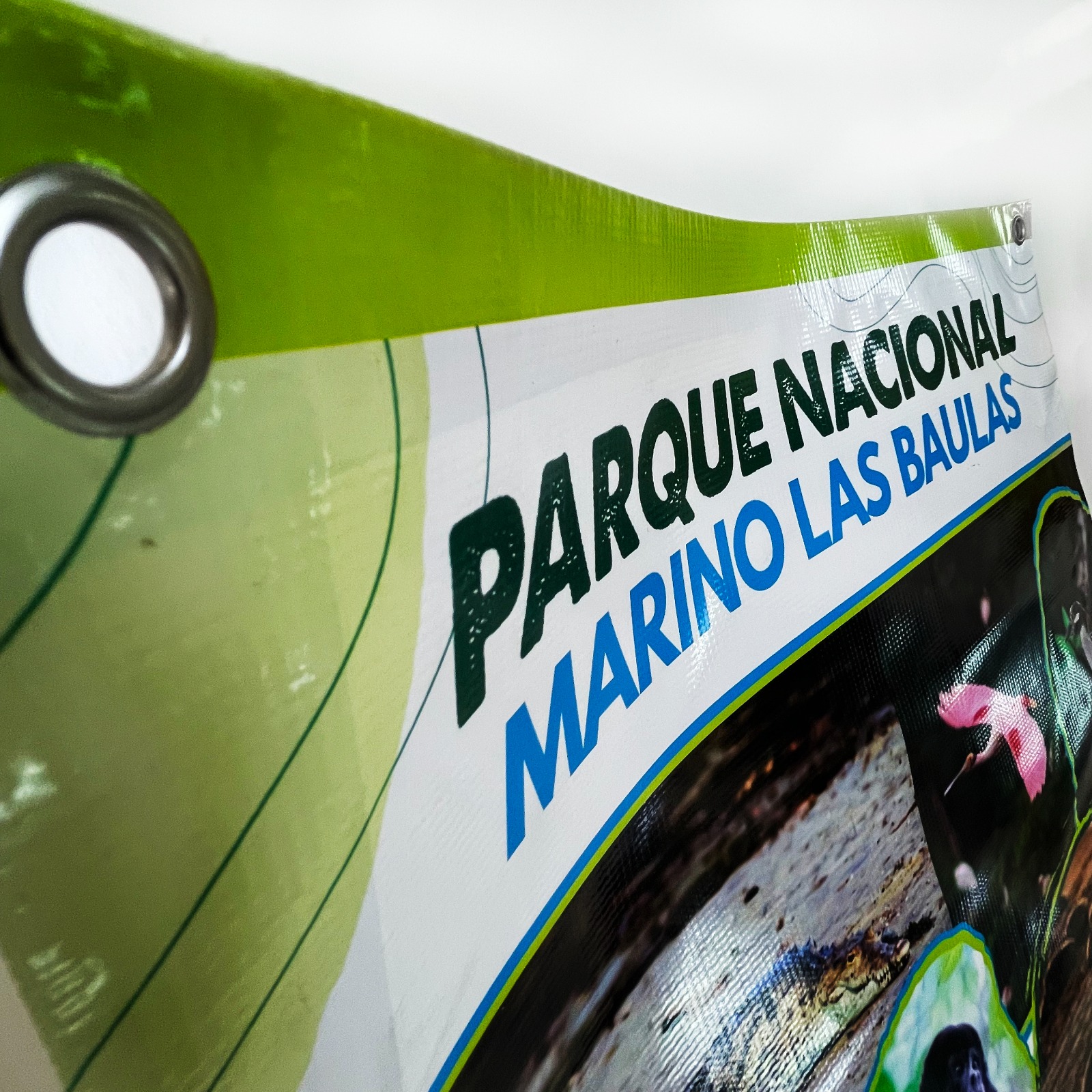 Banners (Standard Sizes & Finishing) 3