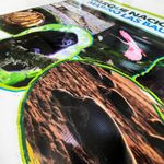 Banners (Standard Sizes & Finishing) 6