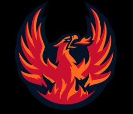 CV Firebirds