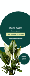 Plant Sale