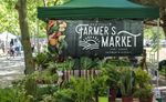 farmers market banner