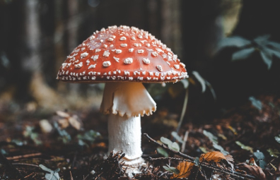 blog post
