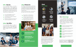 Business Brochure Back