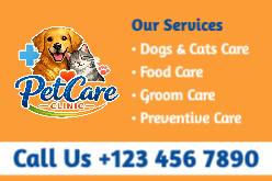 PetCare Clinic Front