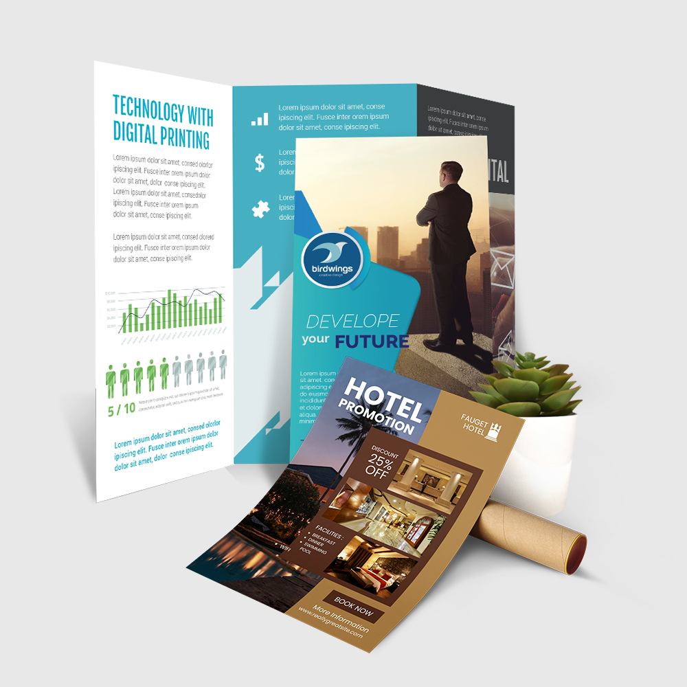 Flyers and Brochures