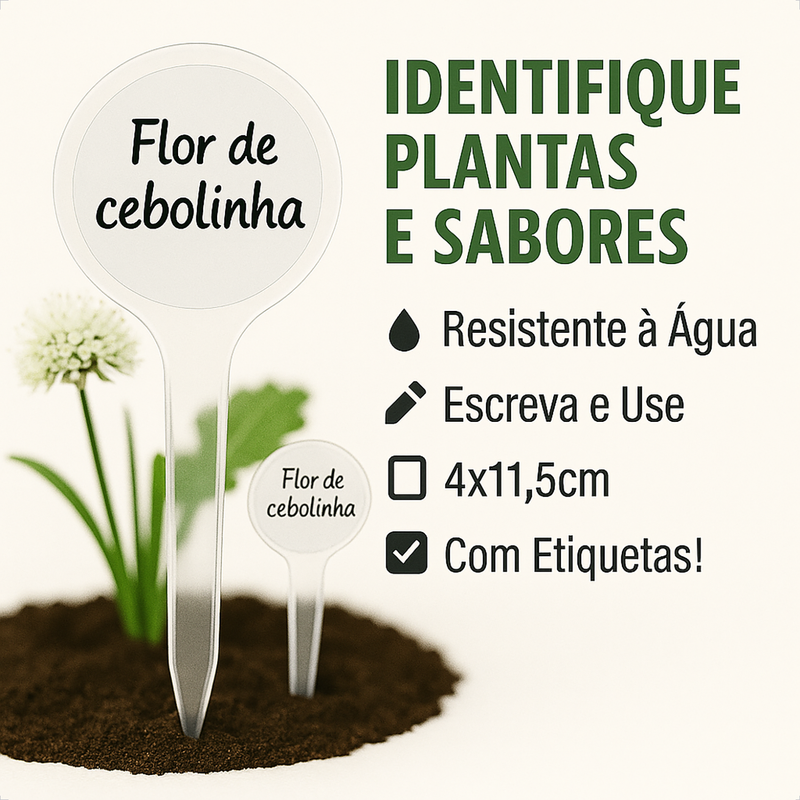 Identificador Cristal