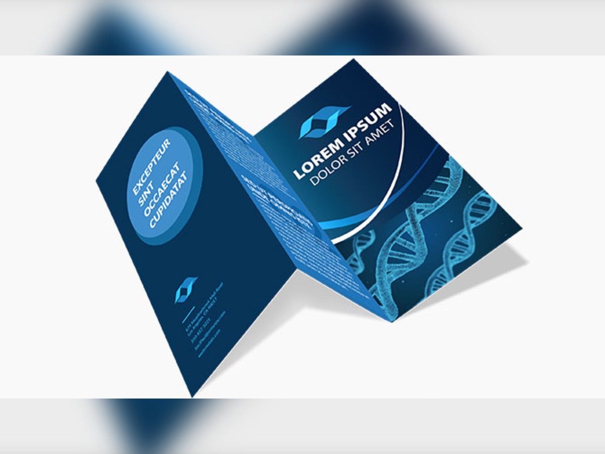 brochure_2