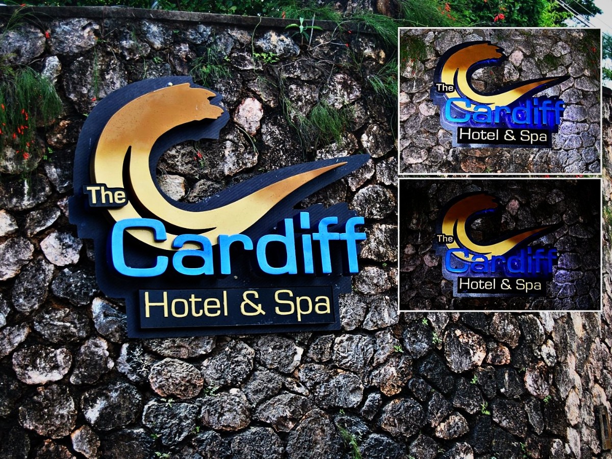 Raised lit sign · The Cardiff Hotel & Spa