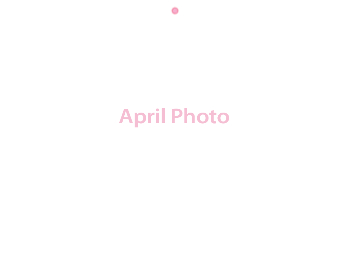 Wall Calendar 2026 - 11x8.5