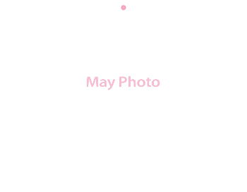 Wall Calendar 2026 - 11x8.5