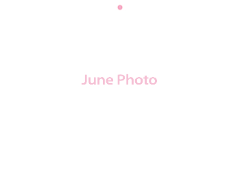 Wall Calendar 2026 - 11x8.5