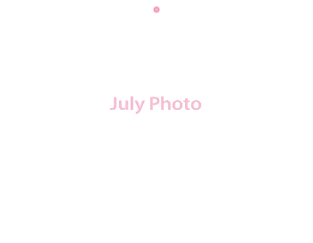 Wall Calendar 2026 - 11x8.5