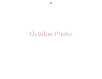 Wall Calendar 2026 - 11x8.5