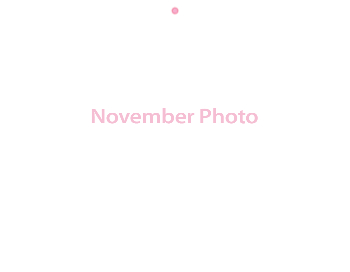 Wall Calendar 2026 - 11x8.5